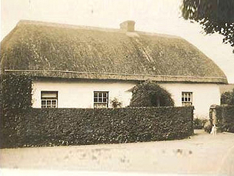 Thatched House, Ballygarran, Wexford 04